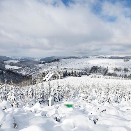 Am Finkenbusch Aan De Skipiste ヴィリンゲン エクステリア 写真