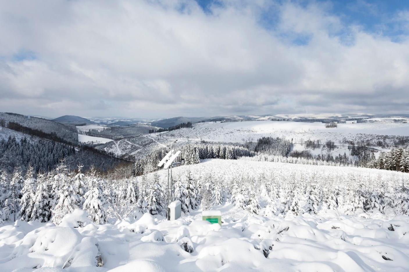 Am Finkenbusch Aan De Skipiste ヴィリンゲン エクステリア 写真